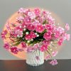 Hồng phấn-Hồng đậm
