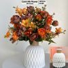 Cam đất bình cổ lọ