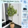 Cây lá chanh giả, lá cánh cháy, cây giả cao 130cm - CN Flower