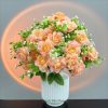 Hồng pastel