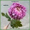 MS06