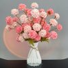 Hồng phấn+hồng dâu
