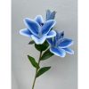 Xanh viền trắng