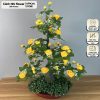(Tặng chậu) Cây hồng trà cổ bonsai chậu bầu - Cao 80cm - Hoa vải, thân nhựa đúc - Cảnh Nhi Flower