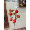 Cành 5 quả màu đỏ