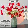 Combo 10 cành hoa anh túc thân lông - Dài 60cm, bông to 6cm - Hoa vải- Thân có lõi thép - Cảnh Nhi Flower