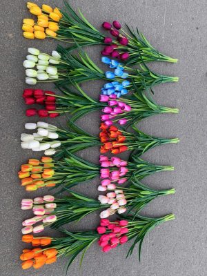 Tulip