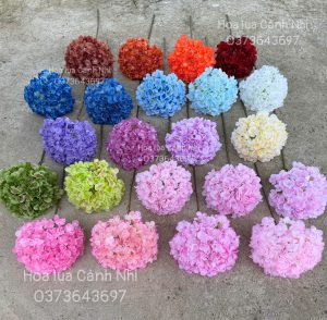Tú cầu vip 3D việt size 24cm