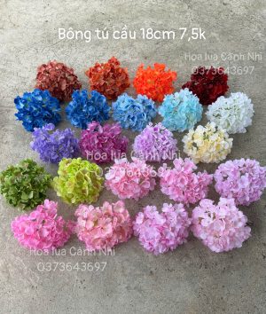 Tú cầu 18cm - 10 bông