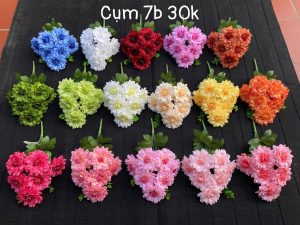 Thược dược sona 7b