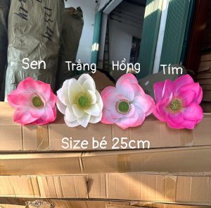 Sen cao su 3D size bé