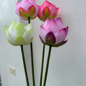 Hoa sen