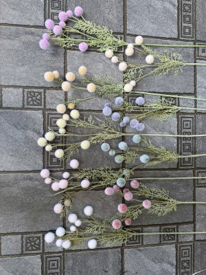 Cành Bồ công anh 9b