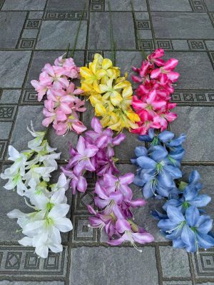 Cành Lan lửa