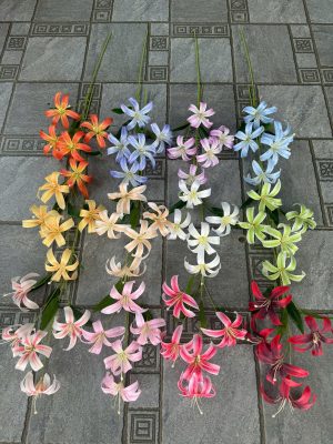 Cành Ly lửa 5b