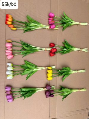 Cành Tulip cao su
