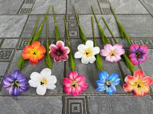 Cành Tulip vip