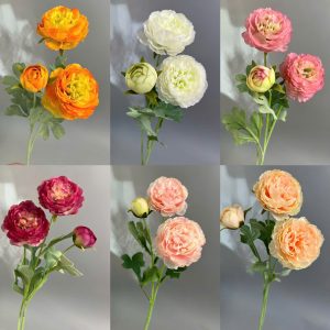Cành Trà kép hàng chuẩn l1