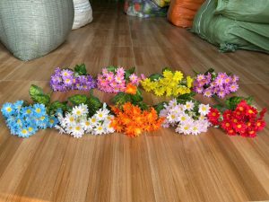 Cụm Cúc mi việt