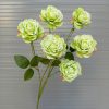 Cành Hồng rosa