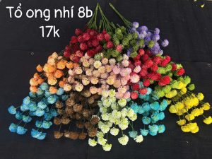 Tổ ong nhí 8b