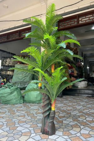Cây thiên tuế cao 1,8m hàng cao cấp