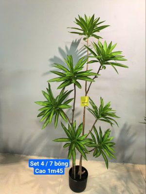 Cây Thiên Trúc set4, 7bông, cao 1,4m