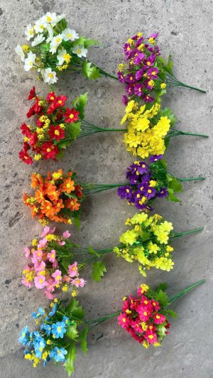 Cụm Cúc mi sẻ