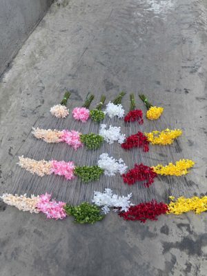 Rủ sao mai