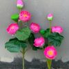 Hoa sen hàng việt