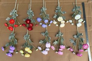 Cành Mao lương thân phấn