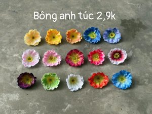 Anh túc - hàng nhập - 100 bông