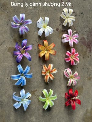 Bông Ly cánh phượng - hàng nhập - 50 bông