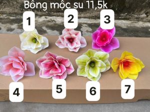 Bông su mộc - hàng nhập - 10 bông