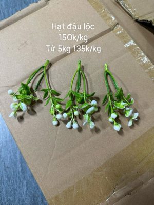 Hạt đậu lộc