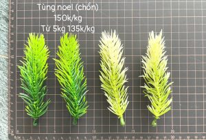 Tùng noel