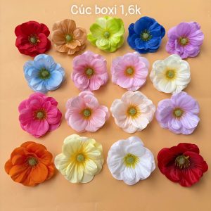 Cúc boxi - hàng việt - 100b