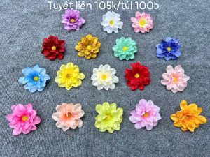 Tuyết liên - hàng việt - 100 bông