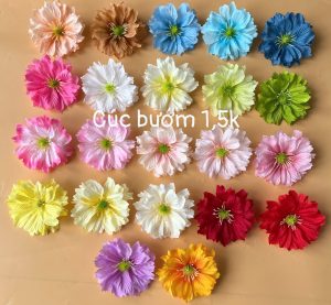 Cúc bướm - hàng việt - 100 bông