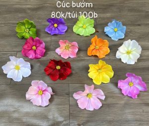 cúc nháy - 100 bông