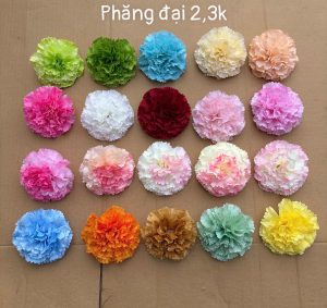 Phăng đại - hàng việt - 50 bông