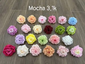 Mocha - 30 bông