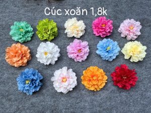 Cúc xoăn - hàng việt - 100 bông