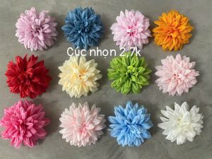 Cúc nhọn -hàng việt - 50 bông