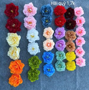 Hải quỳ - hàng việt - 100 bông