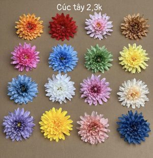 Cúc tây - hàng việt - 50 bông