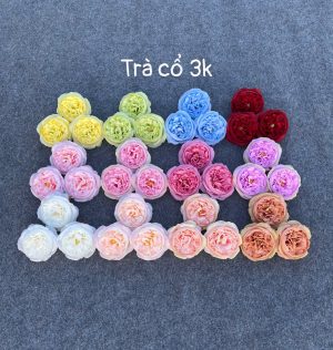 Trà cổ -hàng việt - 50 bông