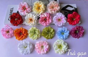 Trà gạo - 50 bông