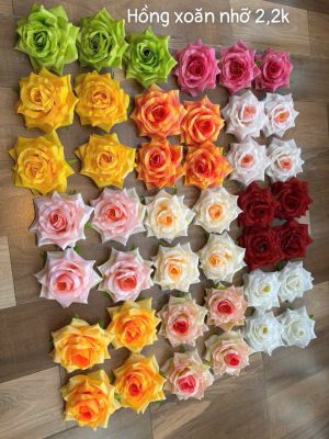 Hồng xoăn nhỡ - 50 bông