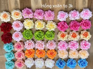 Hồng xoăn to - 50 bông
